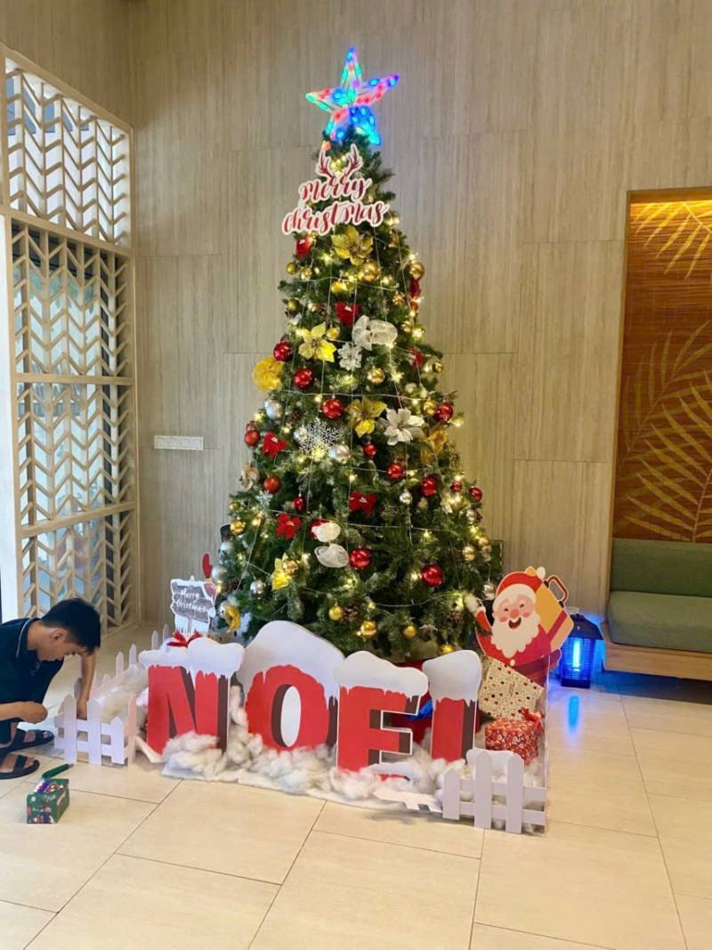 Báo Giá Trang Trí Cây Thông Noel Tại Củ Chi. Ảnh 3